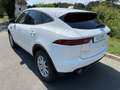 Jaguar E-Pace 2.0d i4 R-Dynamic S fwd 150cv my19 Bianco - thumbnail 7