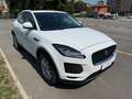Jaguar E-Pace 2.0d i4 R-Dynamic S fwd 150cv my19 Bianco - thumbnail 3