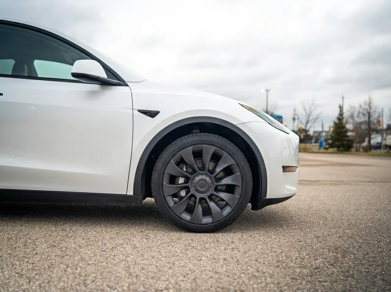 Tesla Model Y photo Tesla Model Y
