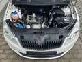 Skoda Roomster Ambition Plus Edition Weiß - thumbnail 20