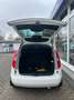 Skoda Roomster Ambition Plus Edition Weiß - thumbnail 8