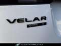 Land Rover Range Rover Velar 2.0D I4 180 CV R-Dynamic S Blanc - thumbnail 34