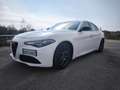 Alfa Romeo Giulia Giulia 2.0 Executive Aut. 200 Executive Blanco - thumbnail 7