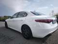 Alfa Romeo Giulia Giulia 2.0 Executive Aut. 200 Executive Blanco - thumbnail 5
