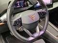 CUPRA Born 360 ALLWETTER LM19 PRIVACY SITZHZ Grau - thumbnail 9