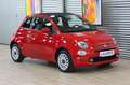 Fiat 500C FireFly Hybrid 70 Cult +UConnect Rot - thumbnail 6