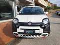 Fiat Panda Panda Cross 1.0 FireFly S&S Hybrid Bianco - thumbnail 2
