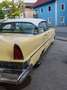 Lincoln Landau Geel - thumbnail 21