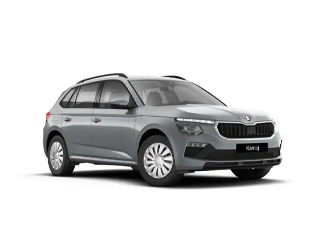 Skoda Kamiq view 2