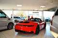 Porsche 911 Carrera S Cabriolet Rot - thumbnail 5