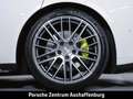Porsche Panamera 4S E-Hybrid Sportabgasanlage Weiß - thumbnail 11