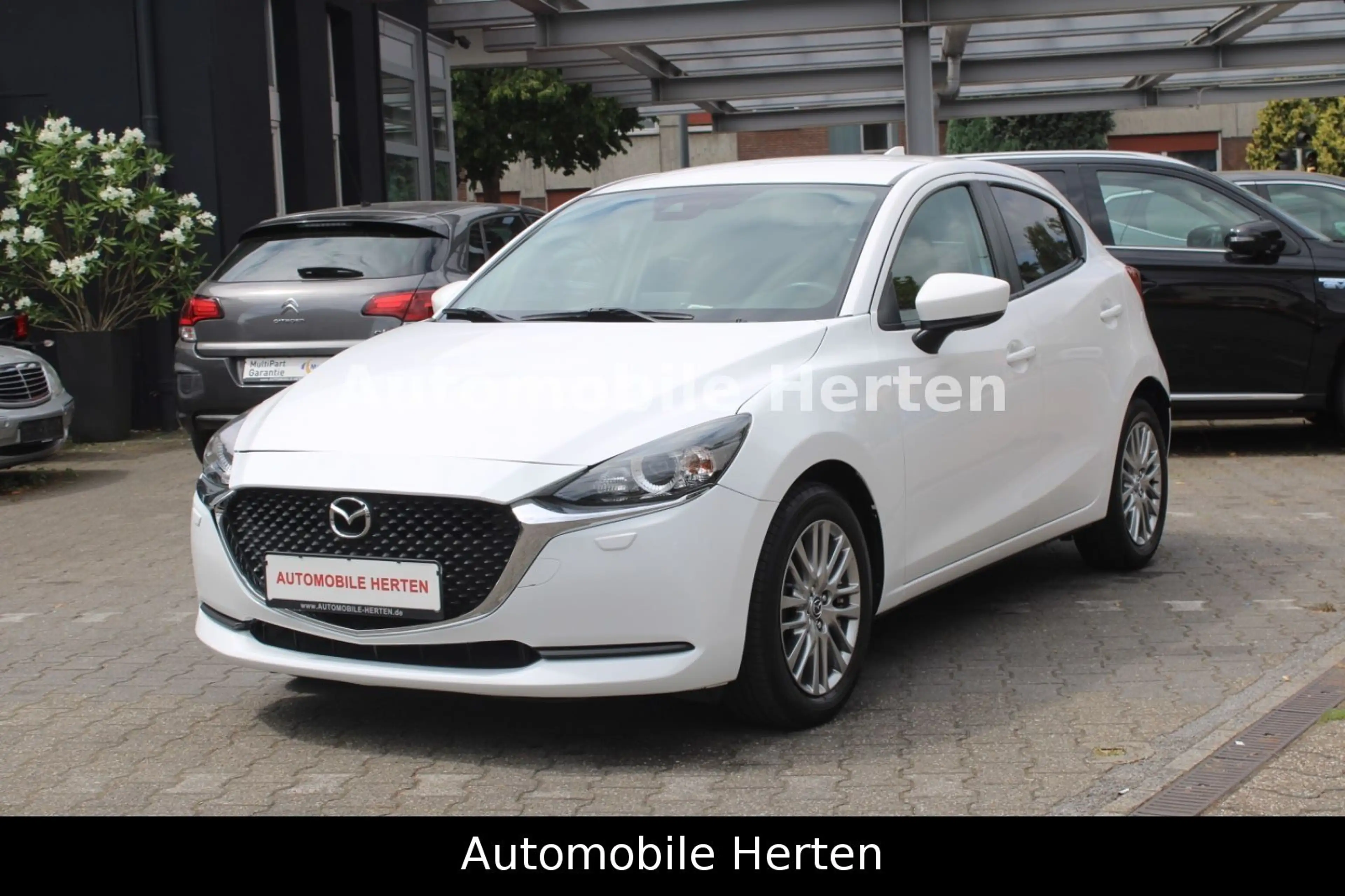 Mazda 2 1.5 Lim. Kizoku*RFK*MFL*5TÜRIG*HYBRID!
