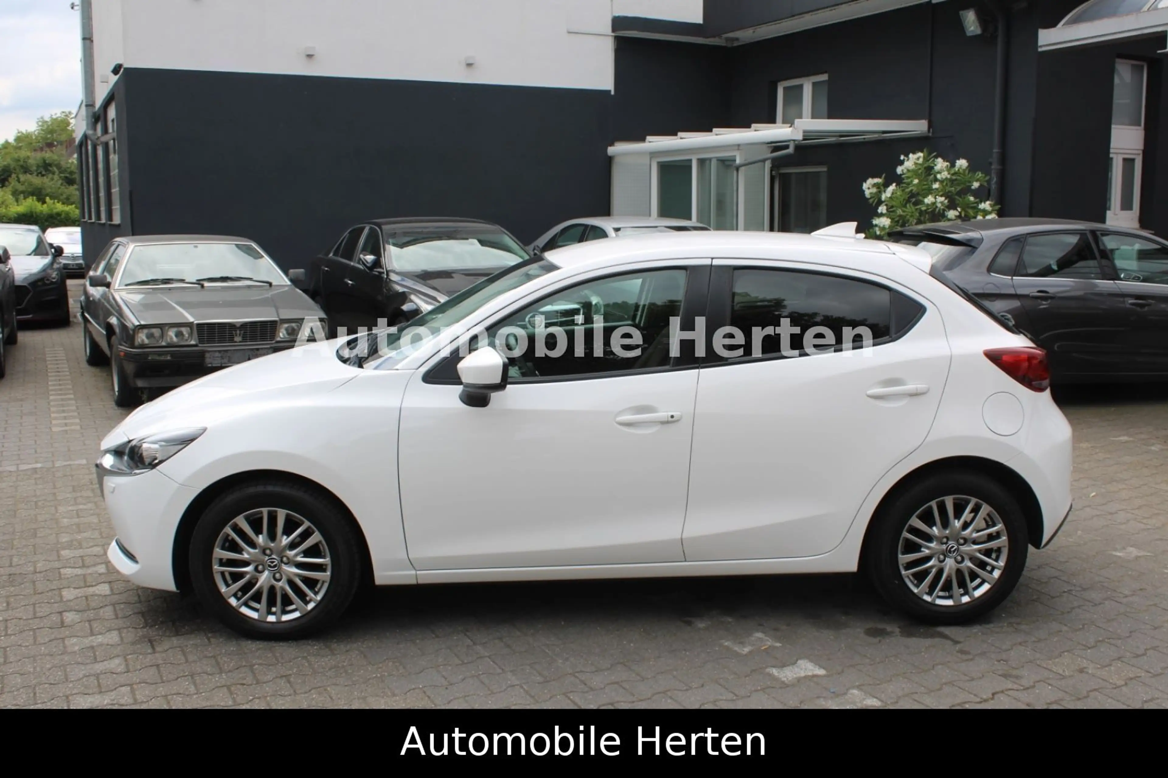 Mazda 2 1.5 Lim. Kizoku*RFK*MFL*5TÜRIG*HYBRID! — photo 6
