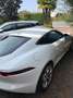 Jaguar F-Type F-Type Coupe 2.0 i4 rwd 300cv auto Bianco - thumbnail 14