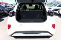Ford Puma ST-Line 1.0 EB 125 MHEV A7 LED SHZ Kam PDC 92 k... Weiß - thumbnail 11