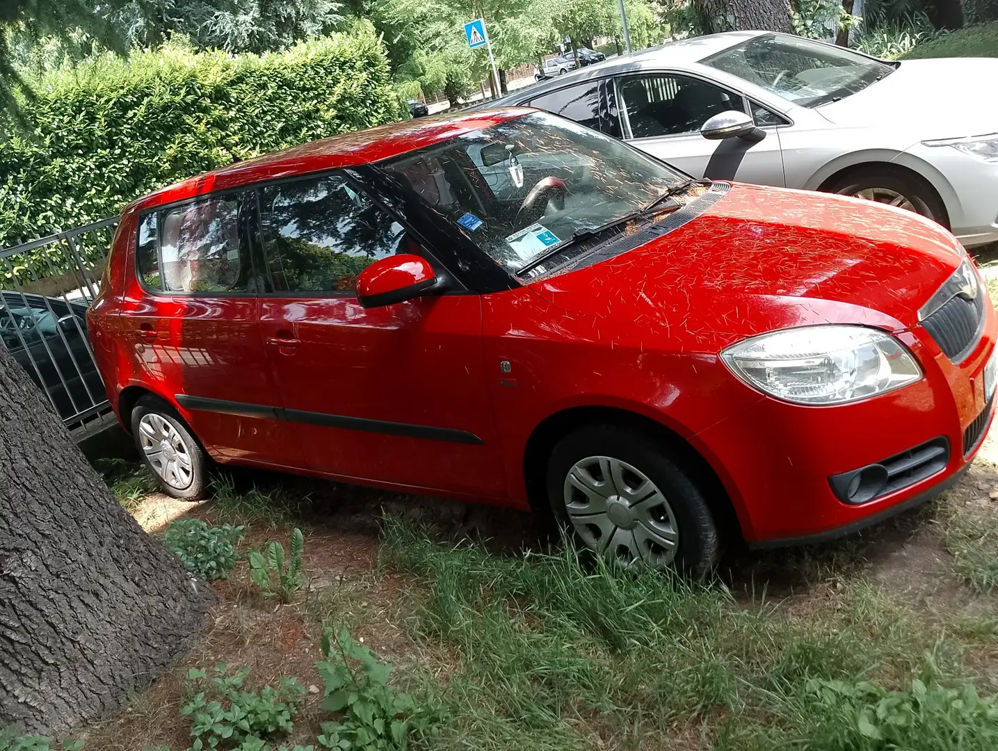 Skoda Fabia 1.2 Style Gpline 70cv - 1