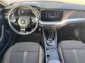 Skoda Octavia 4x4 SCOUT TDI DSG Grau - thumbnail 9
