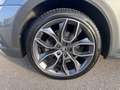 Skoda Octavia 4x4 SCOUT TDI DSG Grau - thumbnail 3
