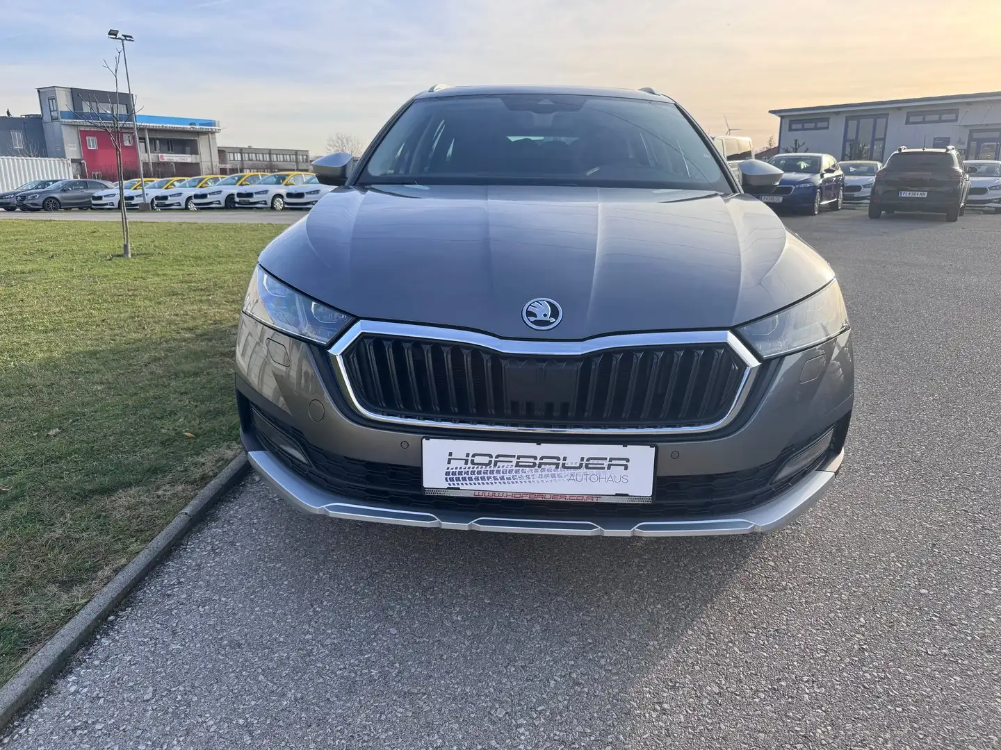 Skoda Octavia 4x4 SCOUT TDI DSG Grau - 2