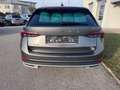 Skoda Octavia 4x4 SCOUT TDI DSG Grau - thumbnail 6