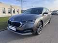 Skoda Octavia 4x4 SCOUT TDI DSG Grau - thumbnail 1