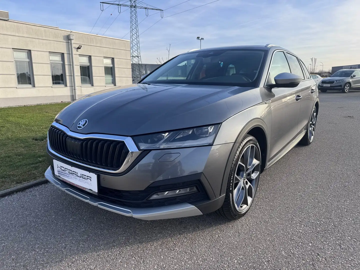 Skoda Octavia 4x4 SCOUT TDI DSG Grau - 1