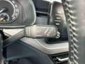 Skoda Scala 1.0 TSI 81KW (110 CV) Ambition Blanco - thumbnail 14