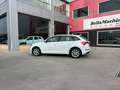 Skoda Scala 1.0 TSI 81KW (110 CV) Ambition Blanco - thumbnail 4