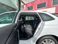 Skoda Scala 1.0 TSI 81KW (110 CV) Ambition Blanco - thumbnail 10