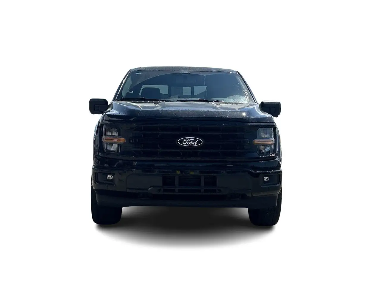 Ford F 150 fotografie Ford F 150