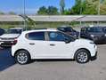 Citroen C3 BlueHDi 75 S&S Van Live Weiß - thumbnail 4