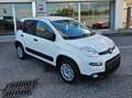 Fiat Panda 1.0 hybrid km 0 4 posti Bianco - thumbnail 2