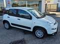 Fiat Panda 1.0 hybrid km 0 4 posti Bianco - thumbnail 13
