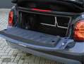 MINI Cooper S Cabrio Mini 2.0 - Favoured - Pakket XL - ACC - Memoryzete Szary - thumbnail 12