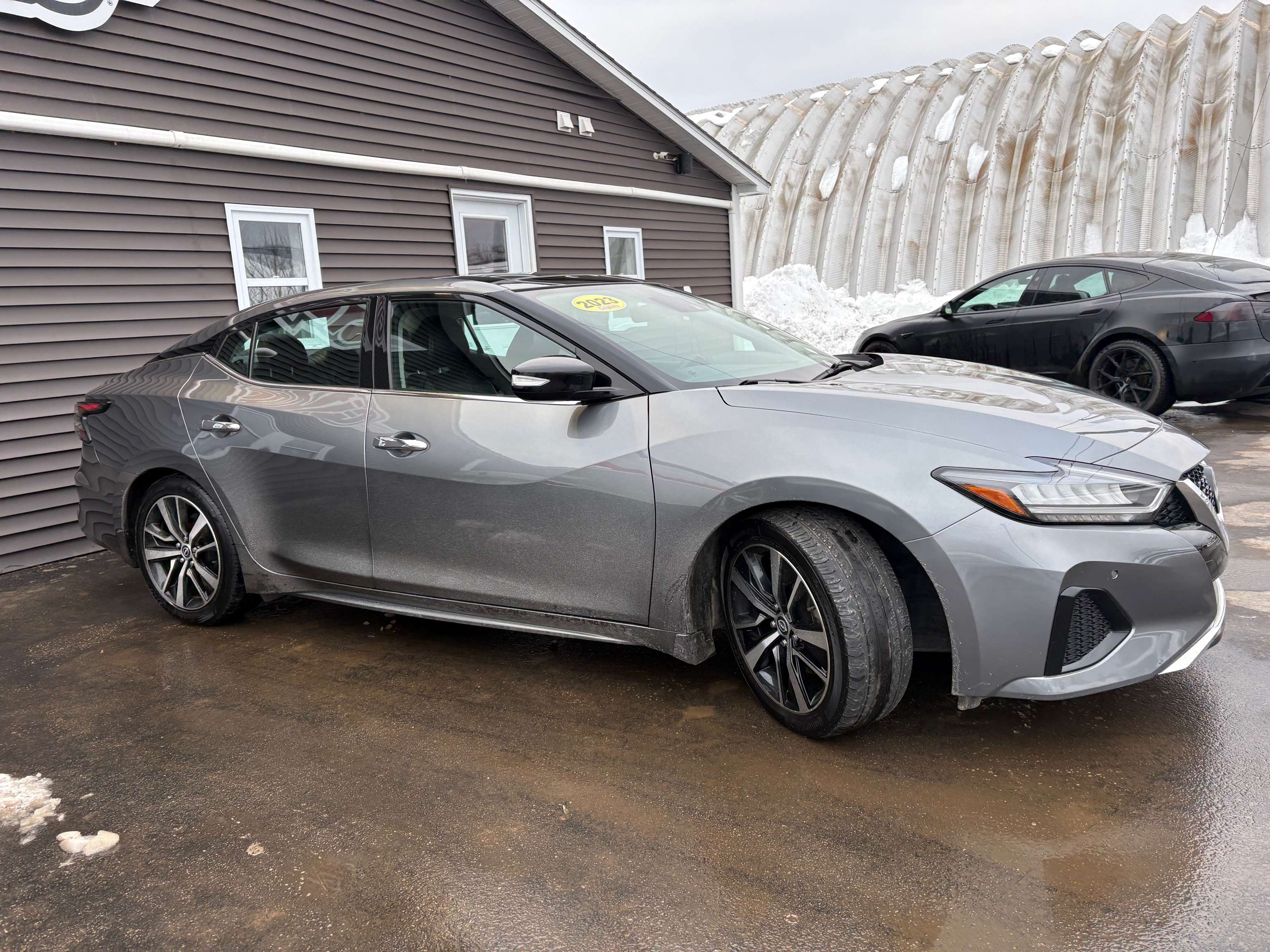 2023 Nissan Maxima SL — снимка 5