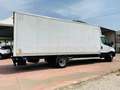 Iveco Daily 60C17H 4750 QUAD-TOR RG CON SPONDA IDRAULICA Blanc - thumbnail 15