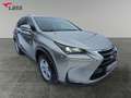 Lexus NX 300 h 2.5 Hybrid Executive Line Kamera Leder LM Silber - thumbnail 8
