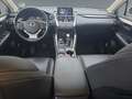 Lexus NX 300 h 2.5 Hybrid Executive Line Kamera Leder LM Argent - thumbnail 11