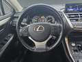 Lexus NX 300 h 2.5 Hybrid Executive Line Kamera Leder LM Argent - thumbnail 13