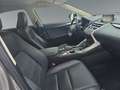 Lexus NX 300 h 2.5 Hybrid Executive Line Kamera Leder LM Silber - thumbnail 16