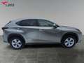 Lexus NX 300 h 2.5 Hybrid Executive Line Kamera Leder LM Argent - thumbnail 7