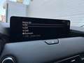 Mazda CX-60 3.3L e-SKYACTIV D AWD HOMURA Aut. Weiß - thumbnail 12