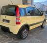 Fiat Panda Panda 1.2 Climbing 4x4 - thumbnail 5