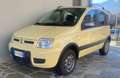 Fiat Panda Panda 1.2 Climbing 4x4 - thumbnail 1