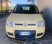 Fiat Panda Panda 1.2 Climbing 4x4 - thumbnail 8