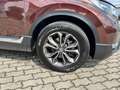 Honda CR-V 2.0 i-MMD HYBRID 2WD Elegance Коричневий - thumbnail 5