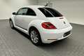 Volkswagen Beetle Club Navi/SHZ/17-Zoll/Tempomat/PDC Weiß - thumbnail 3