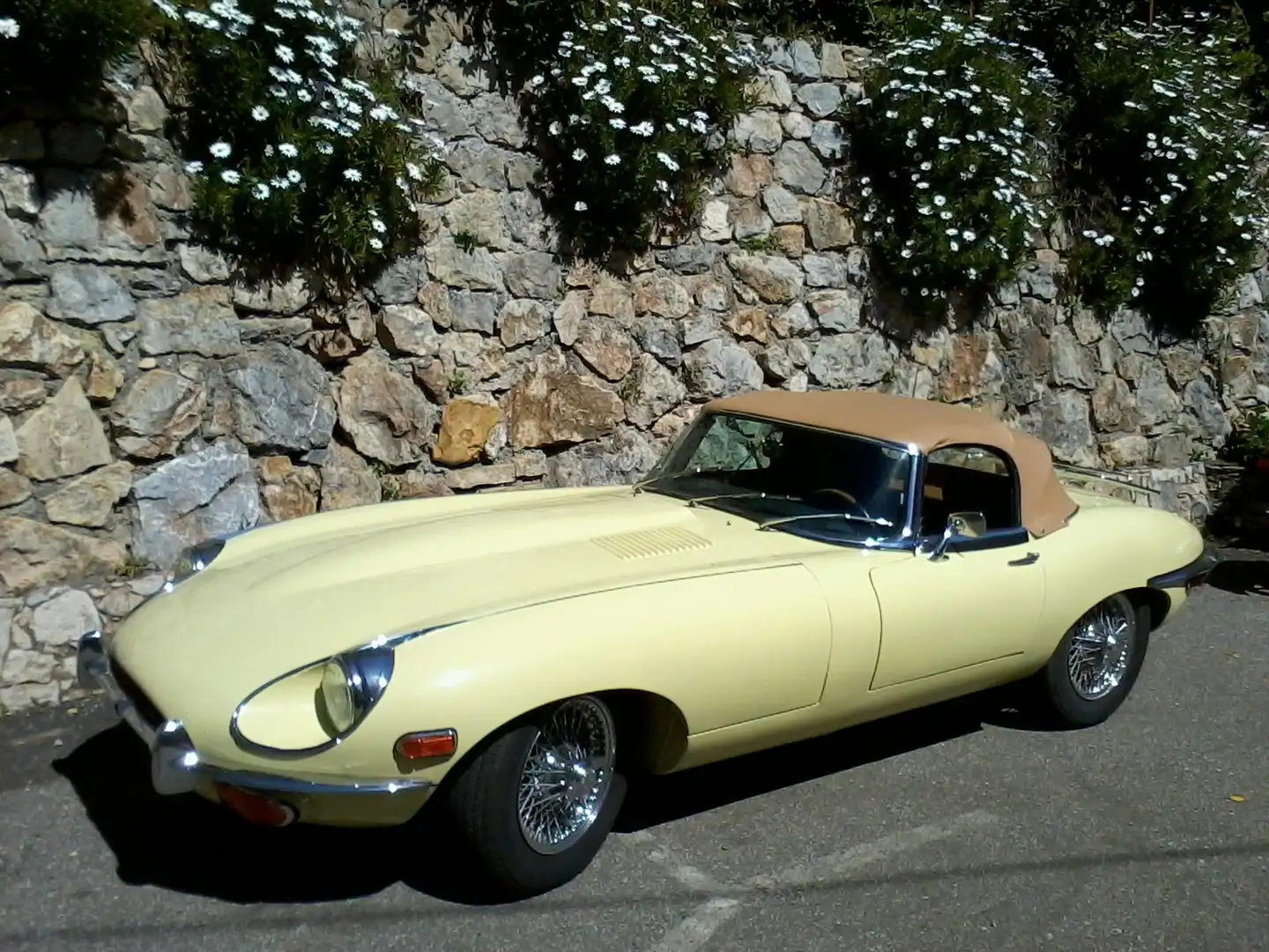 Jaguar E-Type Spyder - Ots Giallo - 2
