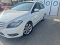 Mercedes-Benz B 200 Classe B - T246 cdi Executive auto Bianco - thumbnail 6