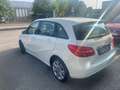 Mercedes-Benz B 200 Classe B - T246 cdi Executive auto Bianco - thumbnail 5